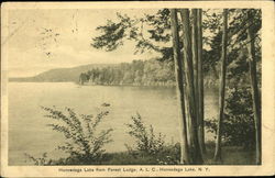 Honnedaga Lake from Forest Lodge, ALC Postcard