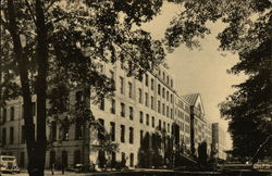 The University Museum at Harvard Cambridge, MA Postcard Postcard