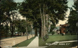 North Street Auburn, NY Postcard Postcard