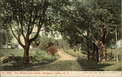 The White Lake Road Mongaup Valley, NY Postcard Postcard