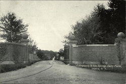 White Springs Dairy Farm - Entrance Postcard