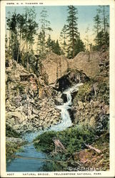 Natural Bridge Yellowstone National Park Postcard Postcard