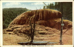 Orange Geyser, Yellowstone National Park Postcard