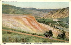 Jupiter Terrace Yellowstone National Park Postcard Postcard