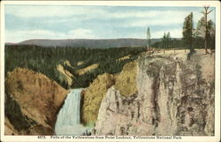 Falls of the Yellowstone from Point Lookout, Yellowstone National Park Postcard Postcard