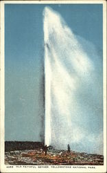 Old Faithful Geyser, Yellowstone National Park Postcard Postcard