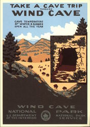 Take a Cave Trip Through Wind Cave National Park, U.S. Department of the Interior Postcard