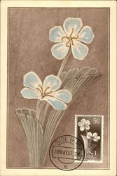 50 cts Stamp of Two Blue Flowers Postcard