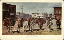 Loaded for Market Postcard