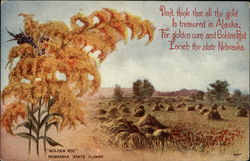 "Golden Rod", Nebraska State Flower Postcard Postcard