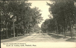 South Street, Looking North Pittsfield, MA Postcard Postcard