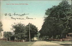 Road at West Sutton Postcard