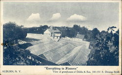 View of Greenhouses of Dobbs & Son Postcard