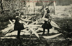 Huge String Beans Collected by Two Girls Exaggeration Postcard Postcard