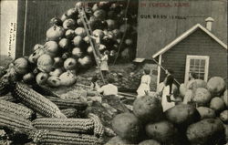 Women and Giant Corn, Potatoes and Onions Exaggeration Postcard Postcard