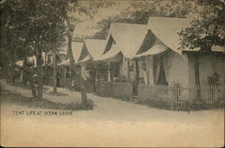 Tent Life at Ocean Grove New Jersey Postcard Postcard