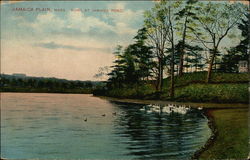 Bowl at Jamaica Pond Jamaica Plain, MA Postcard Postcard