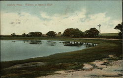 Willows at Ipswich Bluff Massachusetts Postcard Postcard