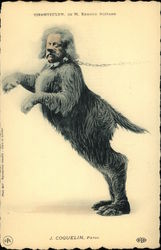 Man in Dog Costume Postcard