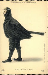 Edmond Rostand Chantecler Dressed as Blackbird Postcard