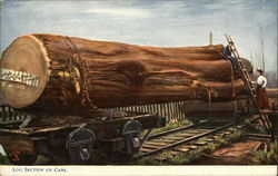 Log Section on Cars Postcard