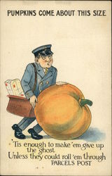 Pumpkins Come About This Size Postcard