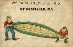 We Raise Them Like This at Newfield, N.Y Exaggeration Postcard Postcard