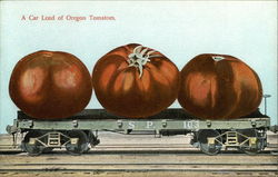 A Car Load of Oregon Tomatoes Exaggeration Postcard Postcard