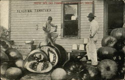 How We do Things in Pontiac, Mich. Slicing Tomatoes Exaggeration Postcard Postcard