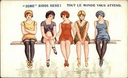 "Some" Birds Here! Tout le Monde Vous Attend Postcard