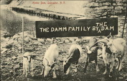 Mooks Dam, Lancaster, N.Y., The Damm Family by the Dam The Whole Family Postcard Postcard