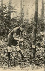 Class Tests. Felling Light Timber Boy Scouts Postcard Postcard