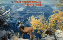 The Grand Canyon Diorama in Disneyland Postcard