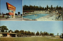 Motel Commodore Postcard