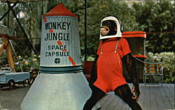 10-9-8-7-6-5-4-3-2-1 "Blast-Off" Time at Monkey Jungle Postcard