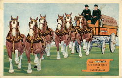 Wilson & Co. Meat Packers, Clydesdales Postcard