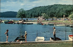 View of Town Park Postcard