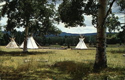 Apache Springs Camp Cimarron, NM Postcard Postcard