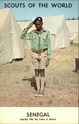 Scouts of the World: Senegal Boy Scouts Postcard Postcard