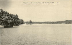 View on Lake Cochituate Postcard