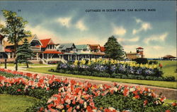 Cottages in Ocean Park Postcard