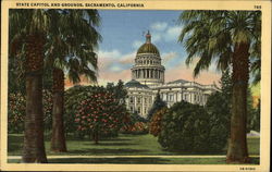 State Capital and Grounds Sacramento, CA Postcard Postcard