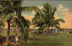 Sun Bathing Postcard