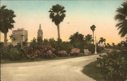 A Walk in Bay Front Park Postcard