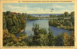 Durand Eastman Park - Government Rearing Pond and Scout Camp Rochester, NY Postcard Postcard