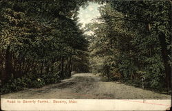 Road to Beverly Farms Postcard