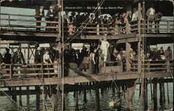 The Fish Haul on Youngs Pier Postcard