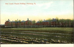 State Lunatic Hospital Buildings and Grounds Postcard