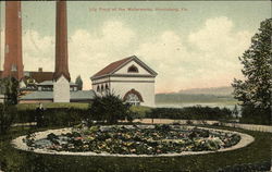 Lily Pond at the Waterworks Harrisburg, PA Postcard Postcard