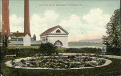 Lily Pond at the Waterworks Postcard